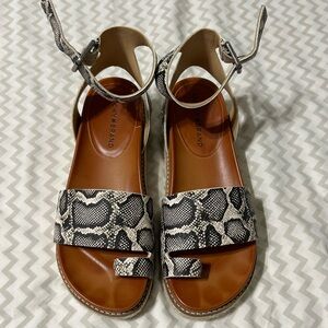 Lucky Brand Sandals! Snake print!